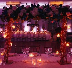 Weddings & Receptions